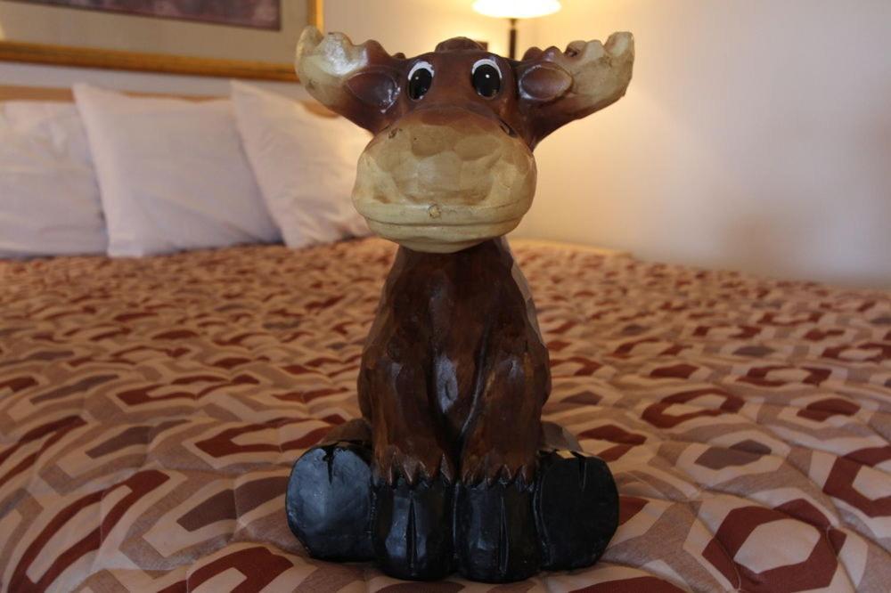Moose Creek Lodge & Suites Коди Экстерьер фото